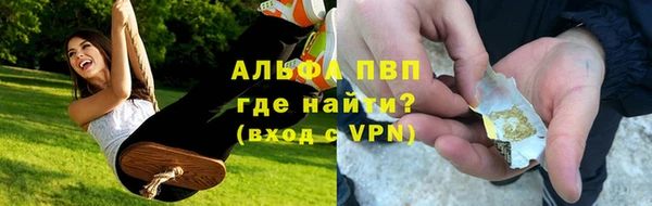 стаф Лабытнанги
