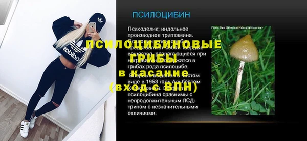 стаф Лабытнанги